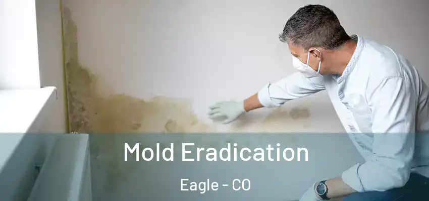  Mold Eradication Eagle - CO
