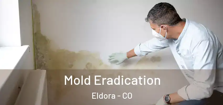  Mold Eradication Eldora - CO