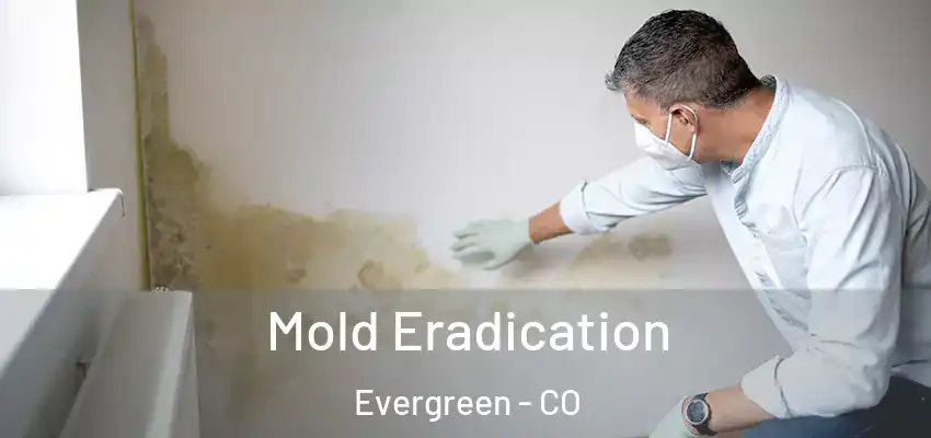  Mold Eradication Evergreen - CO