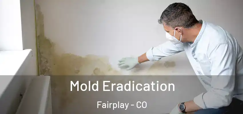  Mold Eradication Fairplay - CO
