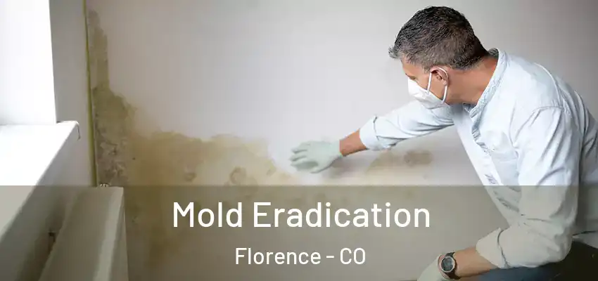  Mold Eradication Florence - CO