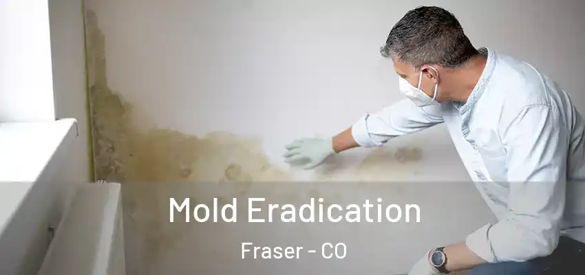  Mold Eradication Fraser - CO
