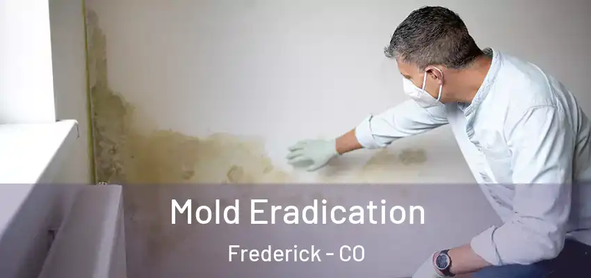  Mold Eradication Frederick - CO