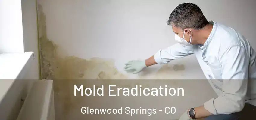  Mold Eradication Glenwood Springs - CO
