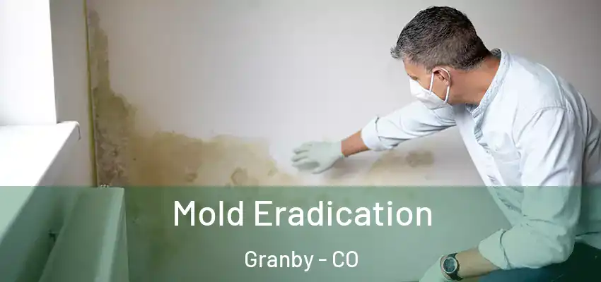  Mold Eradication Granby - CO