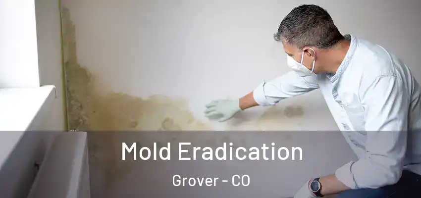  Mold Eradication Grover - CO