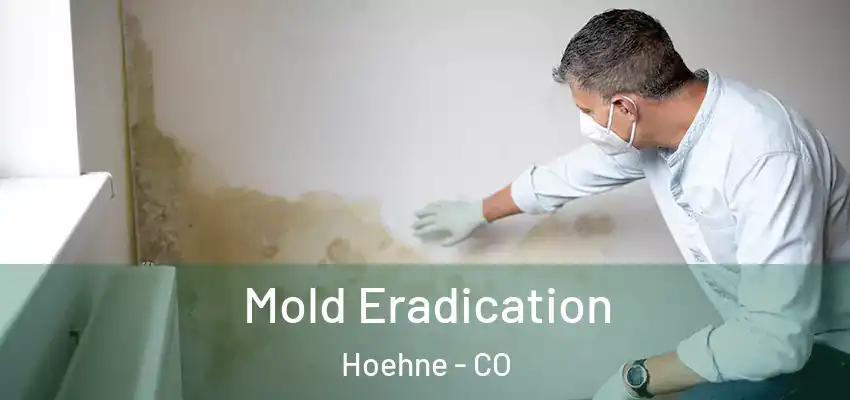  Mold Eradication Hoehne - CO