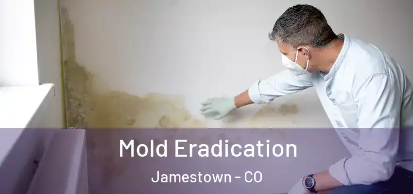  Mold Eradication Jamestown - CO