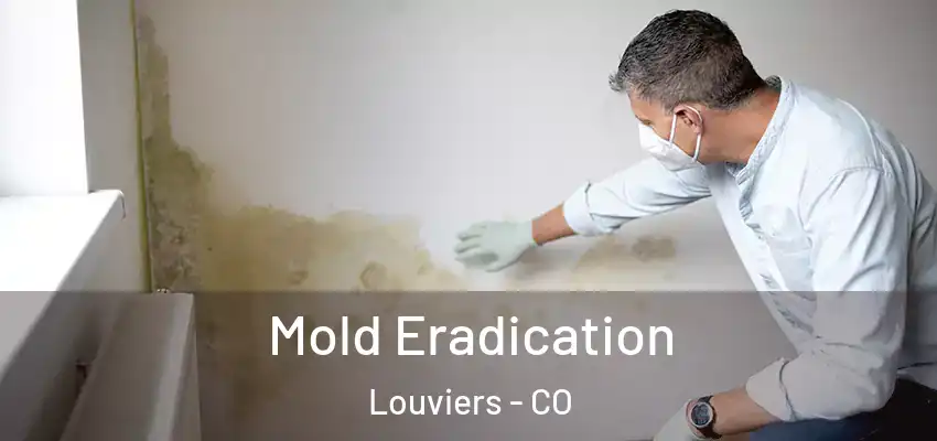Mold Eradication Louviers - CO