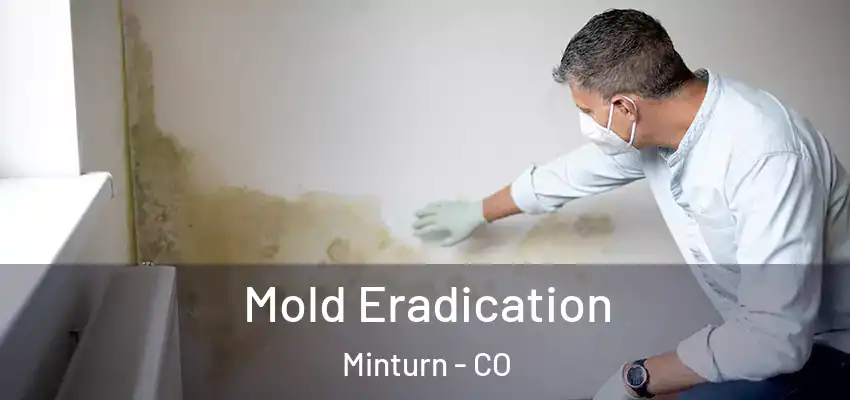  Mold Eradication Minturn - CO
