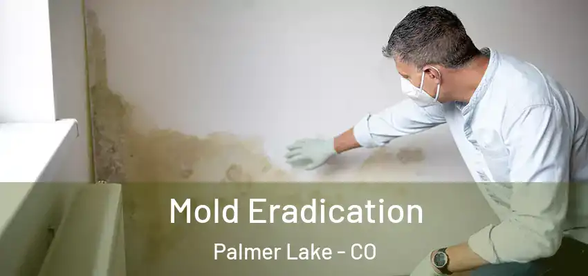 Mold Eradication Palmer Lake - CO