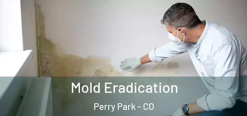  Mold Eradication Perry Park - CO