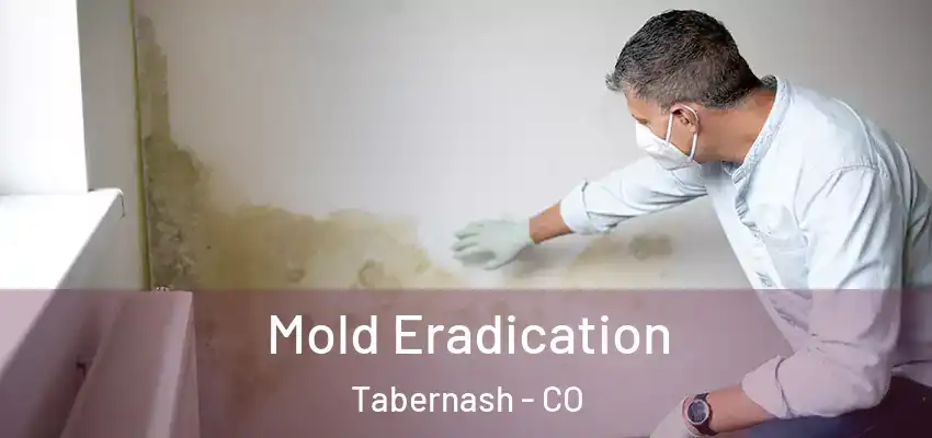  Mold Eradication Tabernash - CO