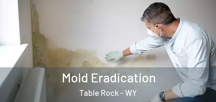  Mold Eradication Table Rock - WY