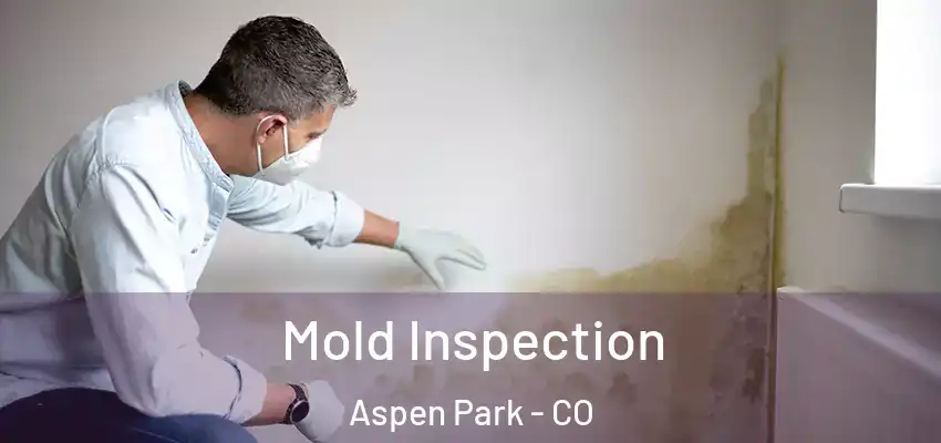  Mold Inspection Aspen Park - CO