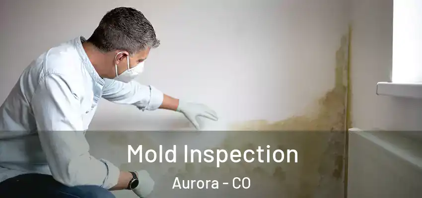 Mold Inspection Aurora - CO