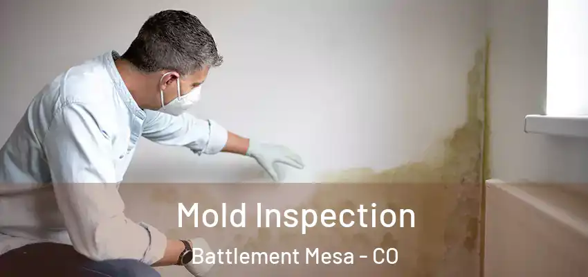  Mold Inspection Battlement Mesa - CO