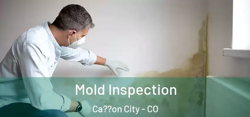  Mold Inspection Ca??on City - CO
