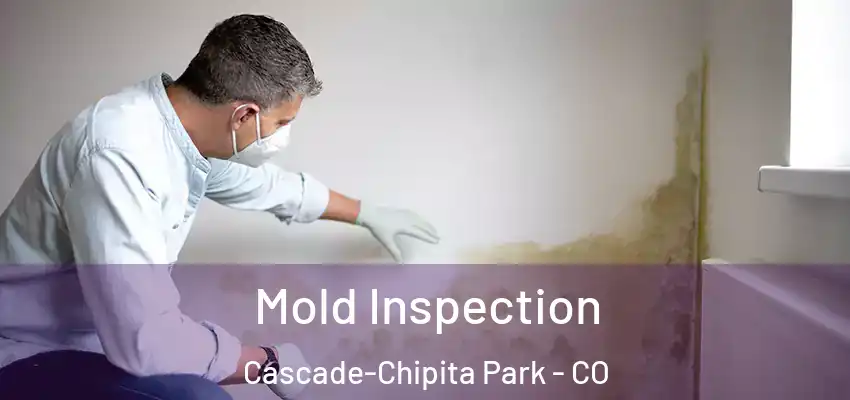 Mold Inspection Cascade-Chipita Park - CO