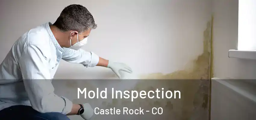  Mold Inspection Castle Rock - CO