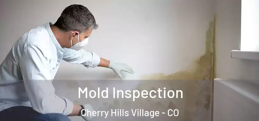  Mold Inspection Cherry Hills Village - CO