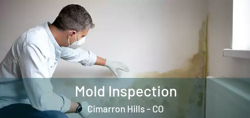  Mold Inspection Cimarron Hills - CO