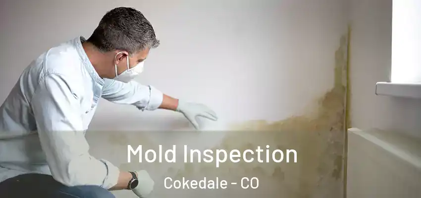Mold Inspection Cokedale - CO