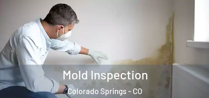  Mold Inspection Colorado Springs - CO