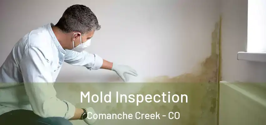  Mold Inspection Comanche Creek - CO