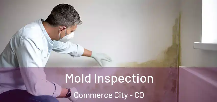  Mold Inspection Commerce City - CO