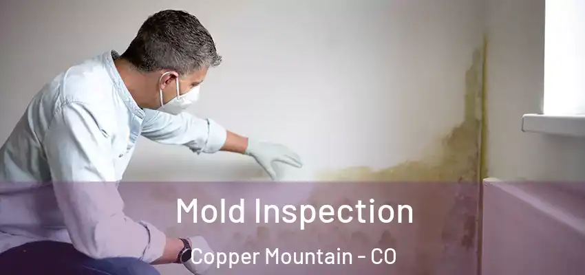 Mold Inspection Copper Mountain - CO