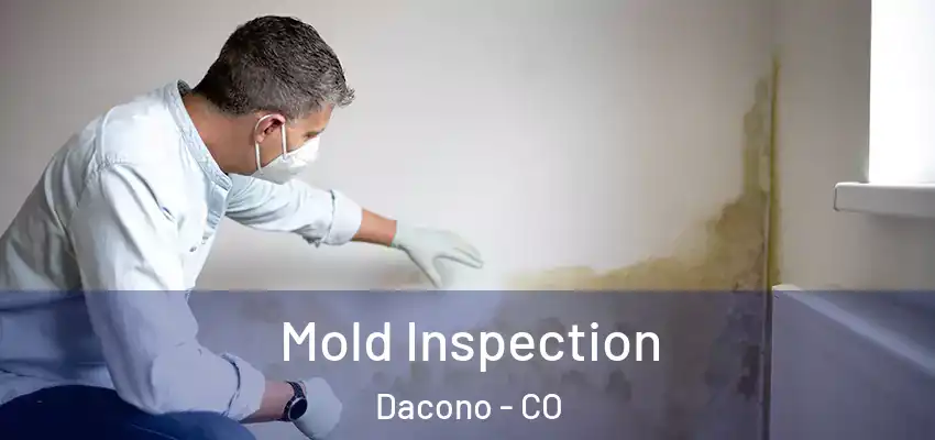  Mold Inspection Dacono - CO