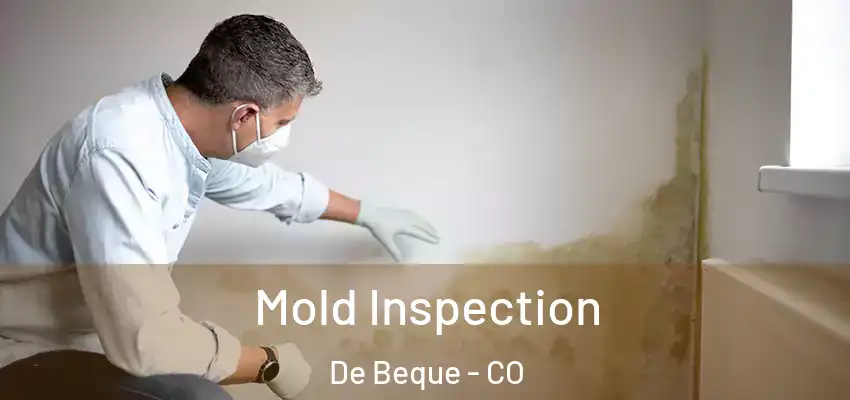  Mold Inspection De Beque - CO