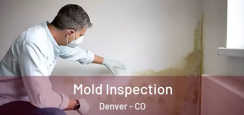  Mold Inspection Denver - CO