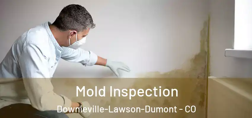  Mold Inspection Downieville-Lawson-Dumont - CO
