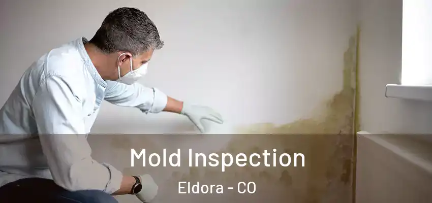  Mold Inspection Eldora - CO