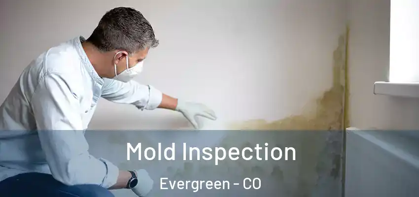  Mold Inspection Evergreen - CO
