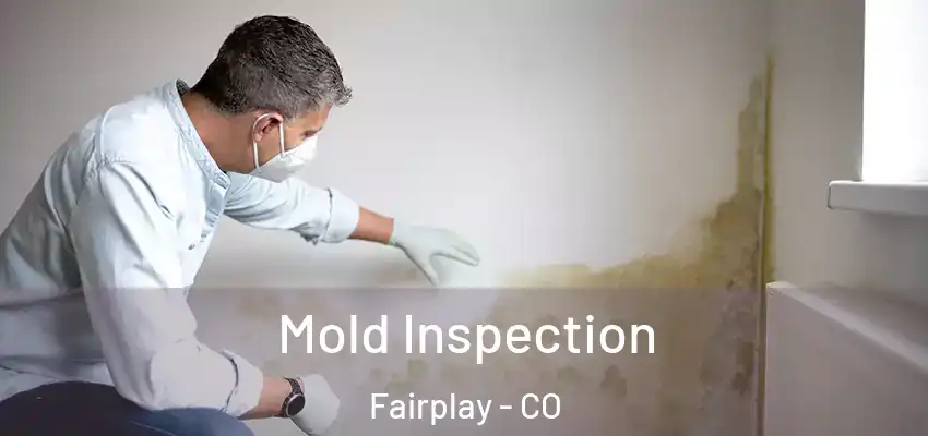 Mold Inspection Fairplay - CO