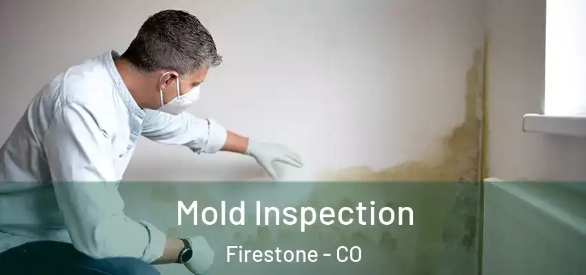  Mold Inspection Firestone - CO