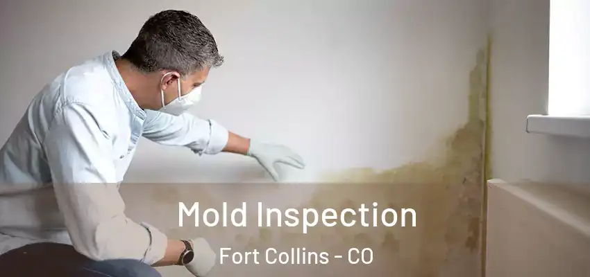  Mold Inspection Fort Collins - CO