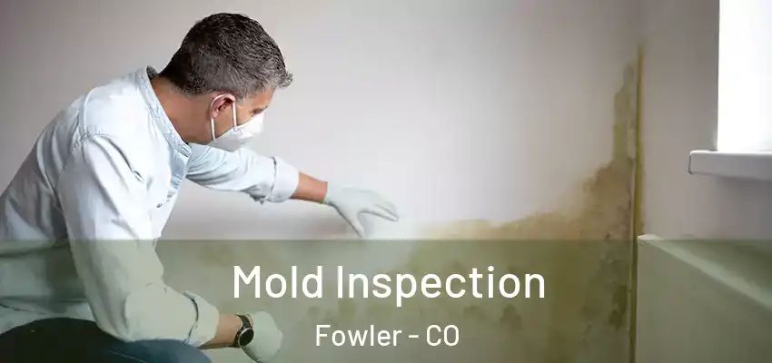 Mold Inspection Fowler - CO