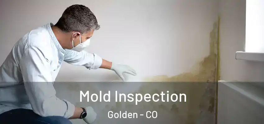  Mold Inspection Golden - CO