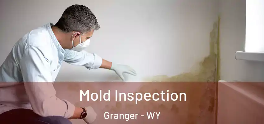 Mold Inspection Granger - WY