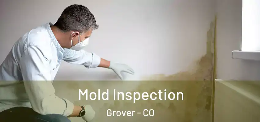  Mold Inspection Grover - CO
