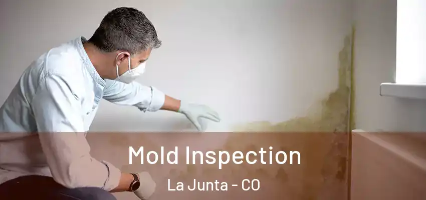  Mold Inspection La Junta - CO