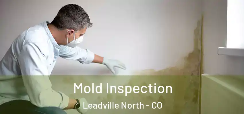Mold Inspection Leadville North - CO