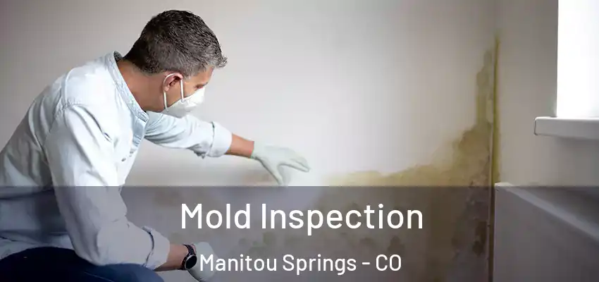  Mold Inspection Manitou Springs - CO