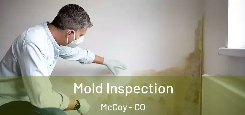 Mold Inspection McCoy - CO