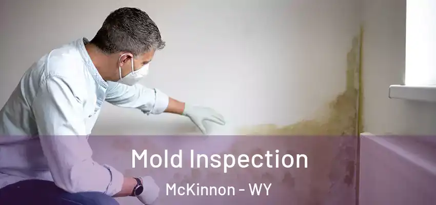 Mold Inspection McKinnon - WY