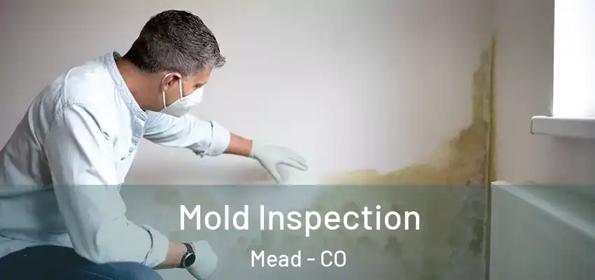  Mold Inspection Mead - CO